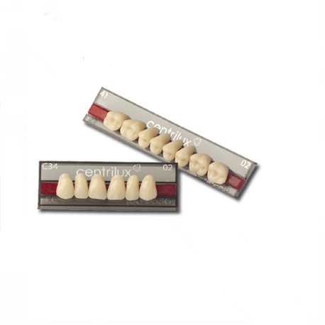 Centrilux Denture Teeth (Complete set of 28's) Shade (01) Small